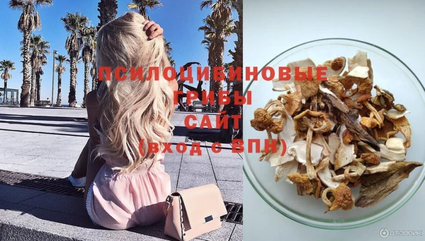 PSILOCYBIN Володарск